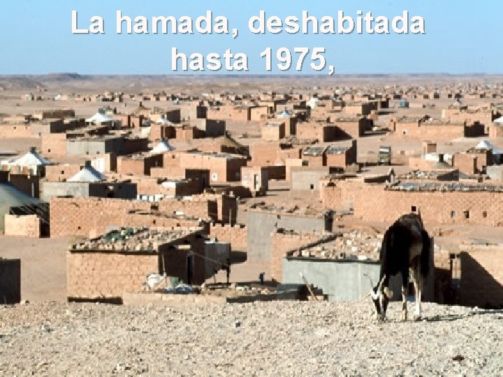 La hamada, deshabitada hasta 1975, 