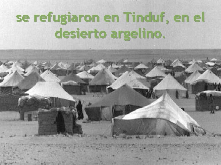 se refugiaron en Tinduf, en el desierto argelino. 