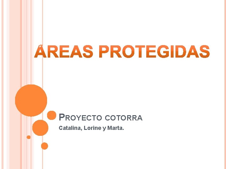 PROYECTO COTORRA Catalina, Lorine y Marta. 