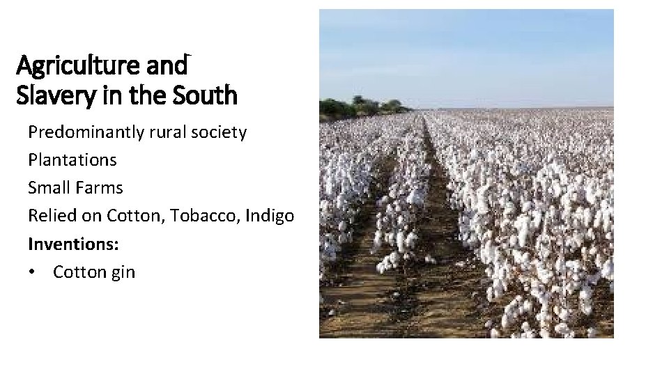 Agriculture and Slavery in the South Predominantly rural society Plantations Small Farms Relied on