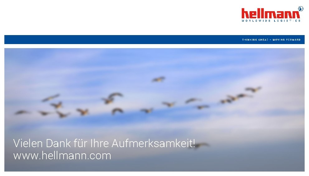 Vielen Dank für Ihre Aufmerksamkeit! www. hellmann. com Vielen Dank für Ihre Aufmerksamkeit! www. hellmann. com
