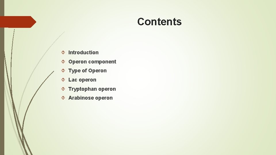 Operon system Contents Introduction Operon component Type of