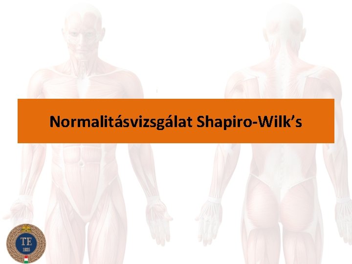 Normalitásvizsgálat Shapiro-Wilk’s 
