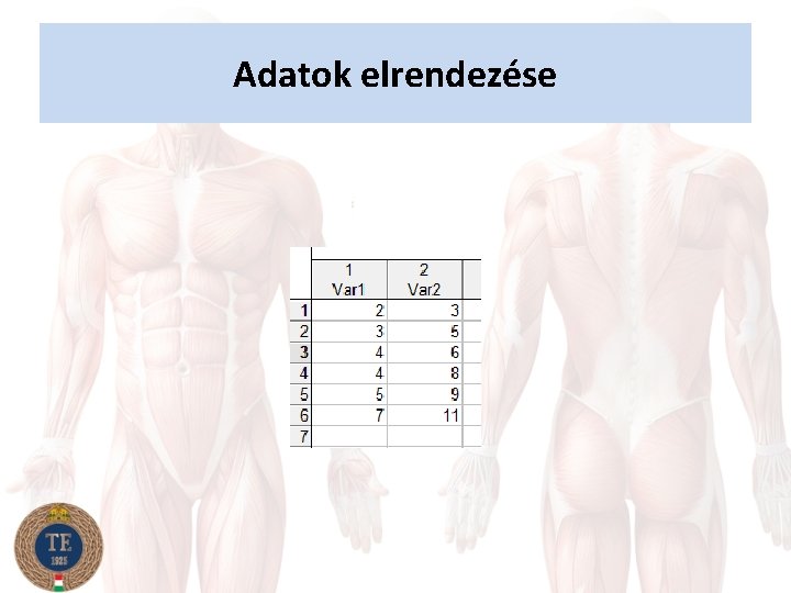 Adatok elrendezése 