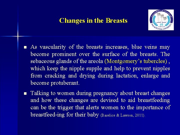 Changes in the Breasts n As vascularity of the breasts increases, blue veins may