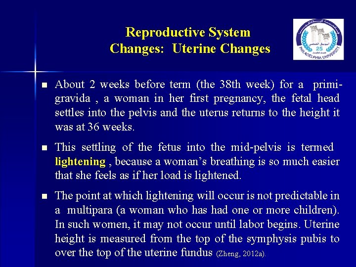 Reproductive System Changes: Uterine Changes n About 2 weeks before term (the 38 th