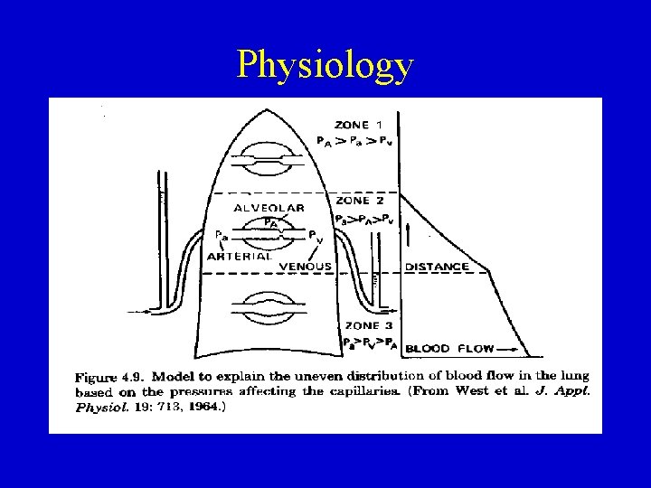 Physiology 