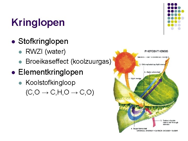 Kringlopen l Stofkringlopen l l l RWZI (water) Broeikaseffect (koolzuurgas) Elementkringlopen l Koolstofkingloop (C,