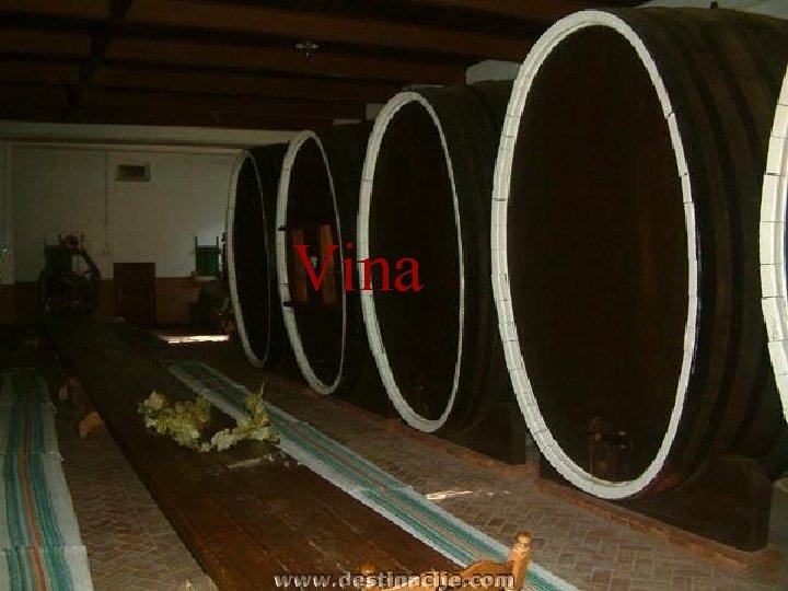 Vina 