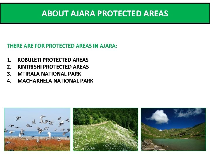 ABOUT AJARA PROTECTED AREAS THERE ARE FOR PROTECTED AREAS IN AJARA: 1. 2. 3.