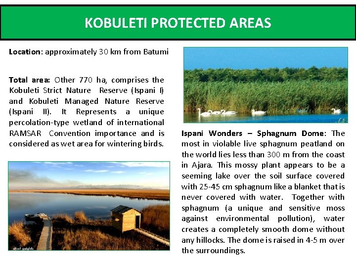 KOBULETI PROTECTED AREAS Location: approximately 30 km from Batumi Total area: Other 770 ha,