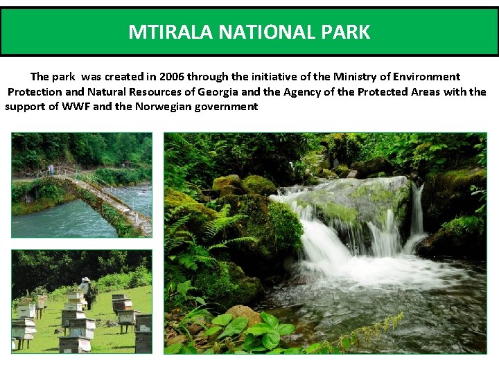 MTIRALA NATIONAL PARK The park was created in 2006 through the initiative of the