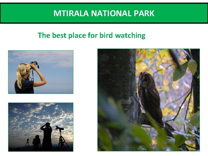 MTIRALA NATIONAL PARK The best place for bird watching 