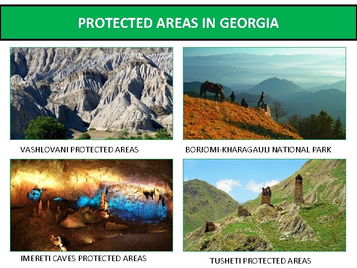 PROTECTED AREAS IN GEORGIA VASHLOVANI PROTECTED AREAS IMERETI CAVES PROTECTED AREAS BORJOMI-KHARAGAULI NATIONAL PARK