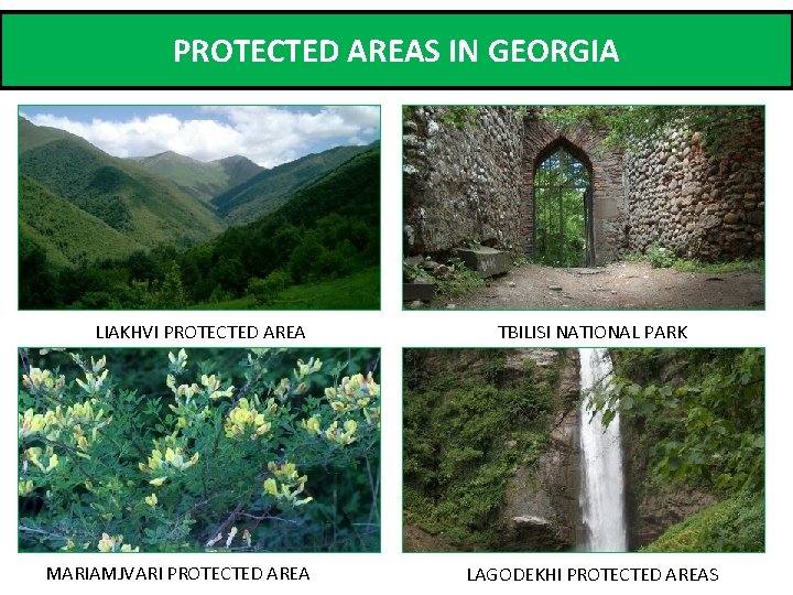 PROTECTED AREAS IN GEORGIA LIAKHVI PROTECTED AREA MARIAMJVARI PROTECTED AREA TBILISI NATIONAL PARK LAGODEKHI