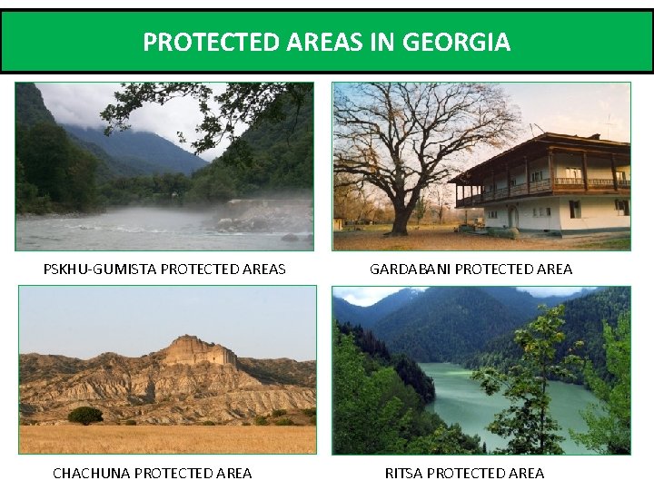 PROTECTED AREAS IN GEORGIA PSKHU-GUMISTA PROTECTED AREAS CHACHUNA PROTECTED AREA GARDABANI PROTECTED AREA RITSA