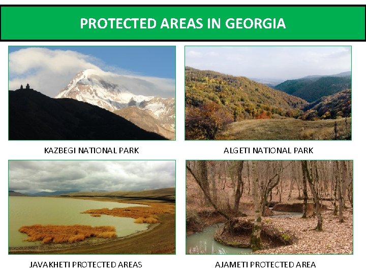 PROTECTED AREAS IN GEORGIA KAZBEGI NATIONAL PARK JAVAKHETI PROTECTED AREAS ALGETI NATIONAL PARK AJAMETI