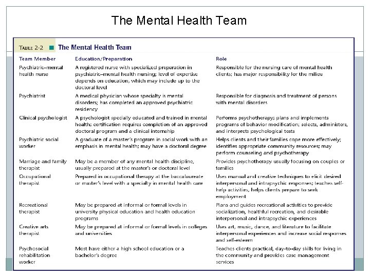 The Mental Health Team 