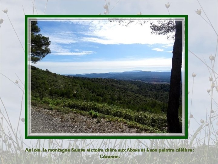 Au loin, la montagne Sainte-victoire chère aux Aixois et à son peintre célèbre :