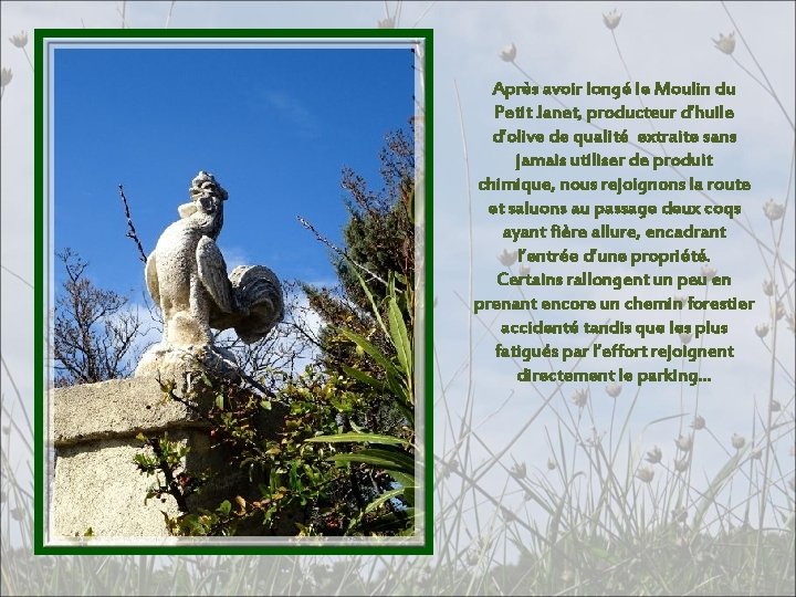 Après avoir longé le Moulin du Petit Janet, producteur d’huile d’olive de qualité extraite Après avoir longé le Moulin du Petit Janet, producteur d’huile d’olive de qualité extraite