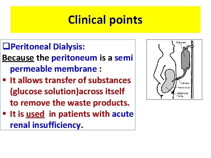 Clinical points q. Peritoneal Dialysis: Because the peritoneum is a semi permeable membrane :