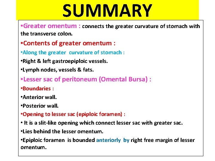 SUMMARY • Greater omentum : connects the greater curvature of stomach with the transverse