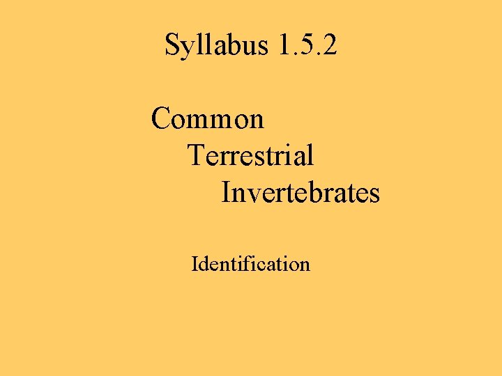 Syllabus 1. 5. 2 Common Terrestrial Invertebrates Identification 