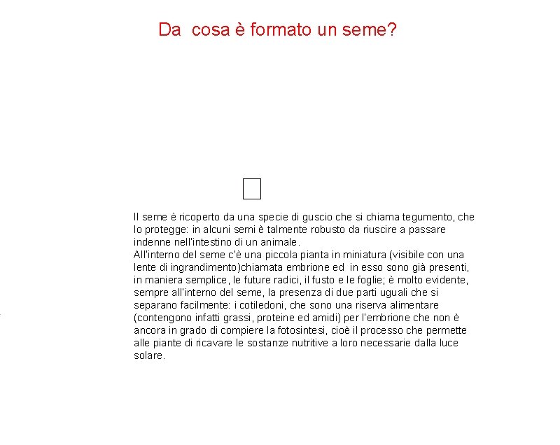 Da cosa è formato un seme? Il seme è ricoperto da una specie di