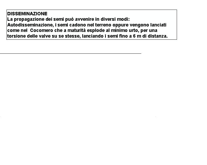 DISSEMINAZIONE La propagazione dei semi può avvenire in diversi modi: Autodisseminazione, i semi cadono