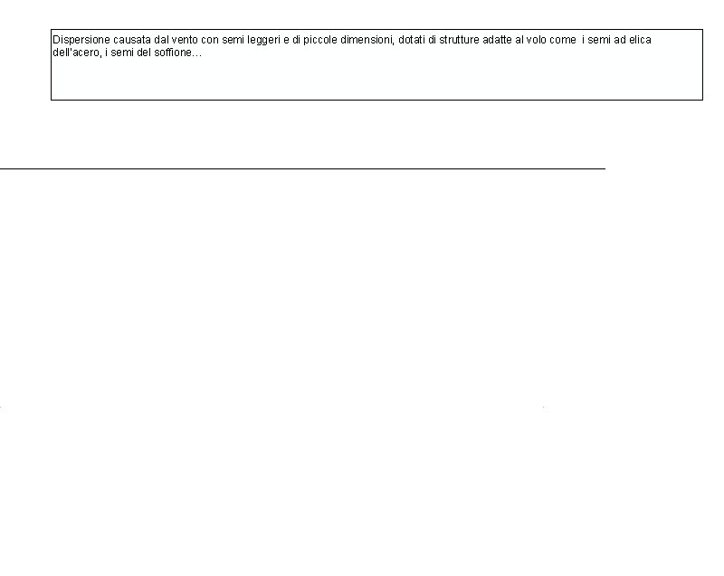 Dispersione causata dal vento con semi leggeri e di piccole dimensioni, dotati di strutture