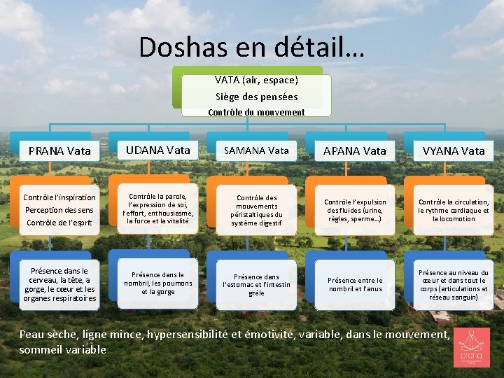 Doshas en détail… VATA (air, espace) Siège des pensées Contrôle du mouvement PRANA Vata