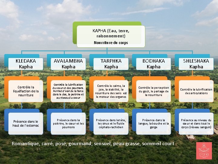 KAPHA (Eau, terre, raisonnement) Nourriture du corps KLEDAKA Kapha AVALAMBHA Kapha TARPHKA Kapha BODHAKA