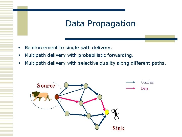 Data Propagation w Reinforcement to single path delivery. w Multipath delivery with probabilistic forwarding.