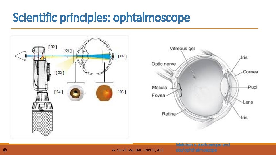 Scientific principles: ophtalmoscope © dr. Chris R. Mol, BME, NORTEC, 2015 Maintain a stethoscope