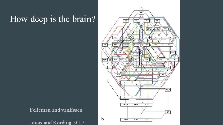 How deep is the brain? Felleman and van. Essen Jonas and Kording 2017 