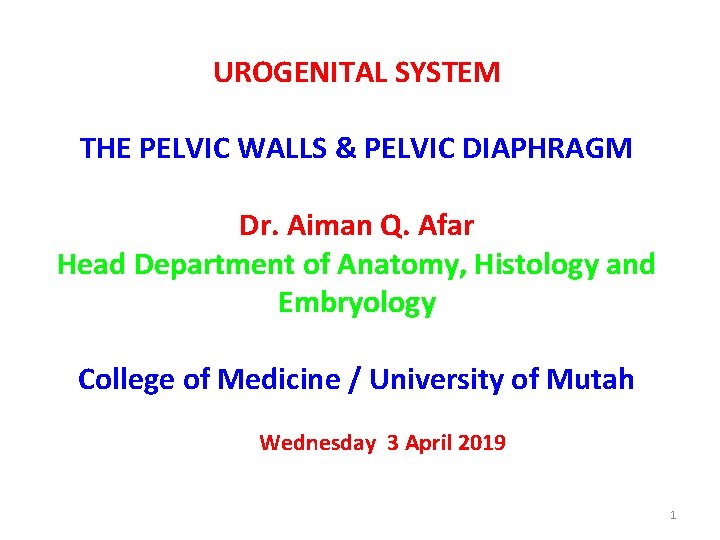 UROGENITAL SYSTEM THE PELVIC WALLS & PELVIC DIAPHRAGM Dr. Aiman Q. Afar Head Department