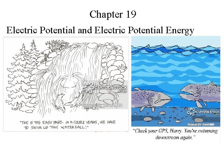 Chapter 19 Electric Potential and Electric Potential Energy 