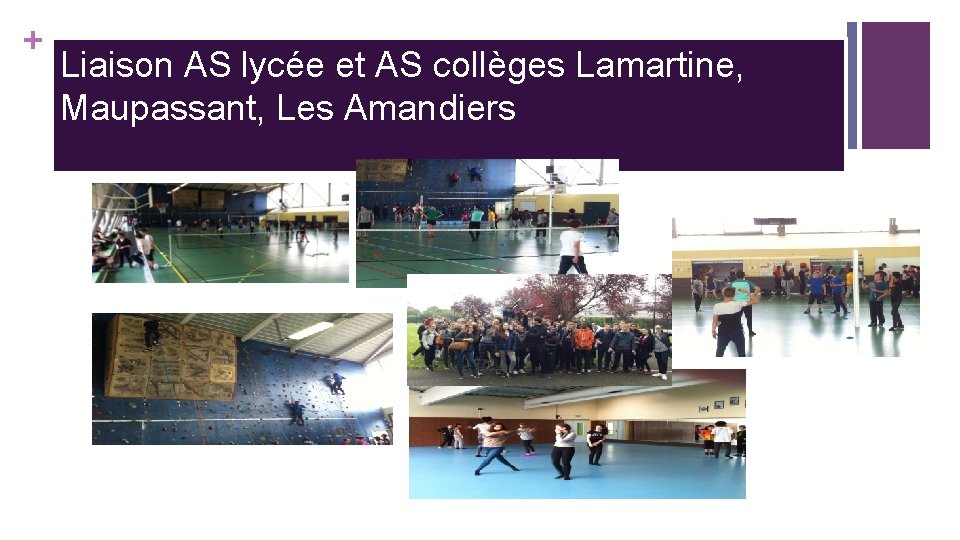 + Liaison AS lycée et AS collèges Lamartine, Maupassant, Les Amandiers 