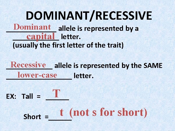 DOMINANT/RECESSIVE Dominant allele is represented by a _______ capital letter. (usually the first letter DOMINANT/RECESSIVE Dominant allele is represented by a _______ capital letter. (usually the first letter