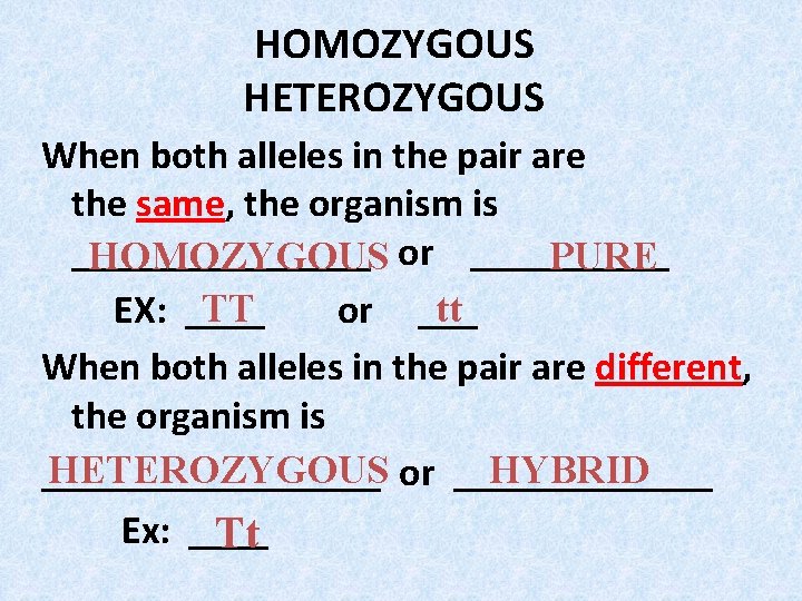 HOMOZYGOUS HETEROZYGOUS When both alleles in the pair are the same, the organism is HOMOZYGOUS HETEROZYGOUS When both alleles in the pair are the same, the organism is