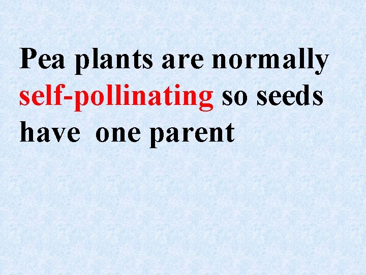 Pea plants are normally self-pollinating so seeds have one parent Pea plants are normally self-pollinating so seeds have one parent