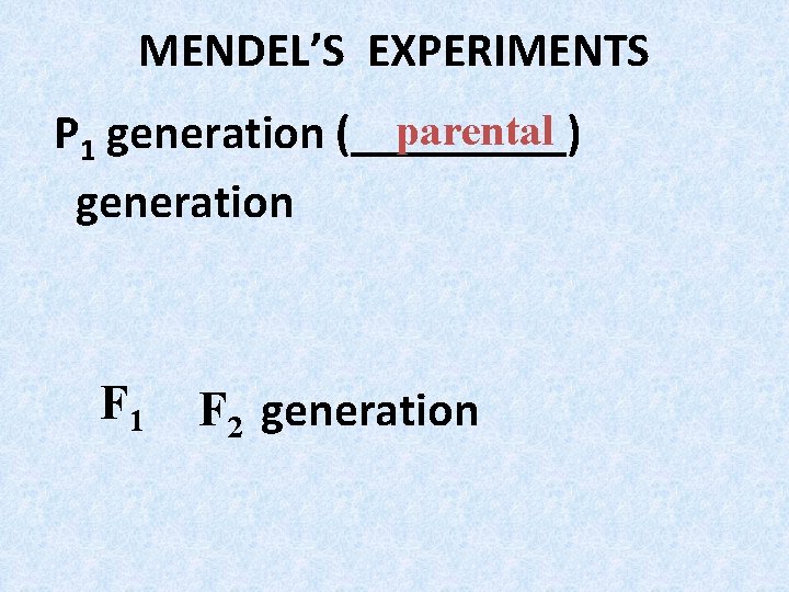 MENDEL’S EXPERIMENTS parental P 1 generation (_____) generation F 1 F 2 generation MENDEL’S EXPERIMENTS parental P 1 generation (_____) generation F 1 F 2 generation