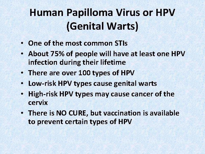 Human Papilloma Virus or HPV (Genital Warts) • One of the most common STIs