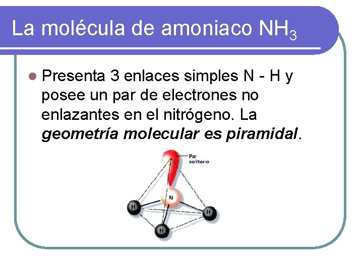 La molécula de amoniaco NH 3 l Presenta 3 enlaces simples N - H