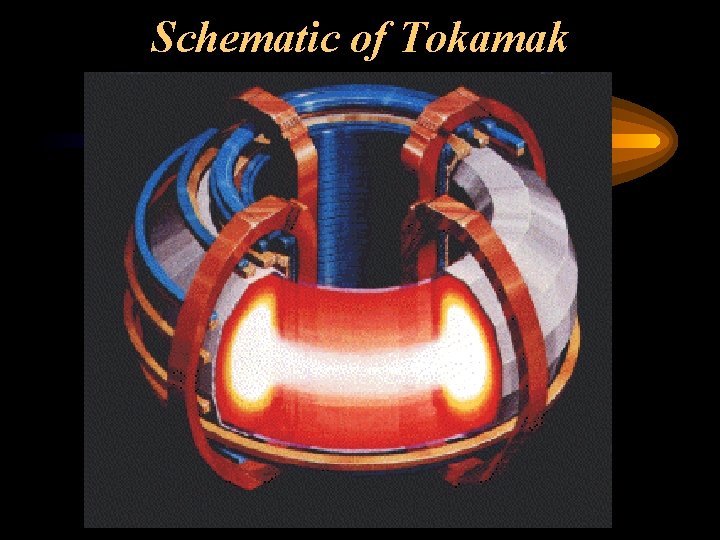 Schematic of Tokamak 