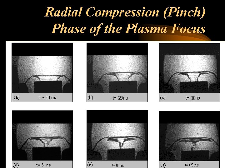 Radial Compression (Pinch) Phase of the Plasma Focus 