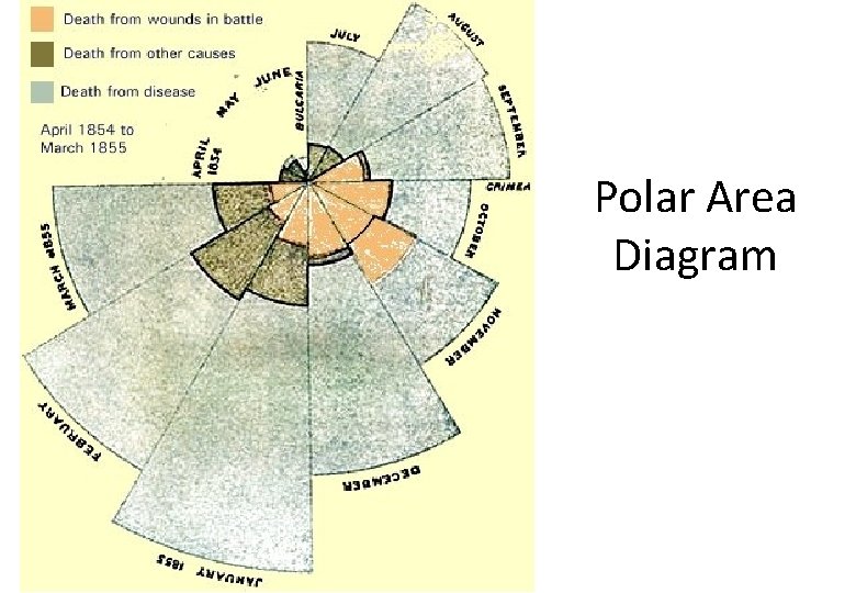 Polar Area Diagram 