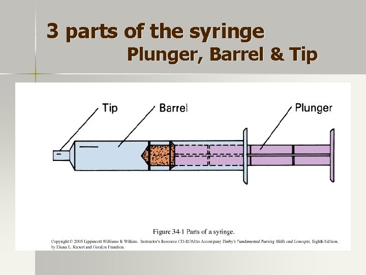 3 parts of the syringe Plunger, Barrel & Tip 