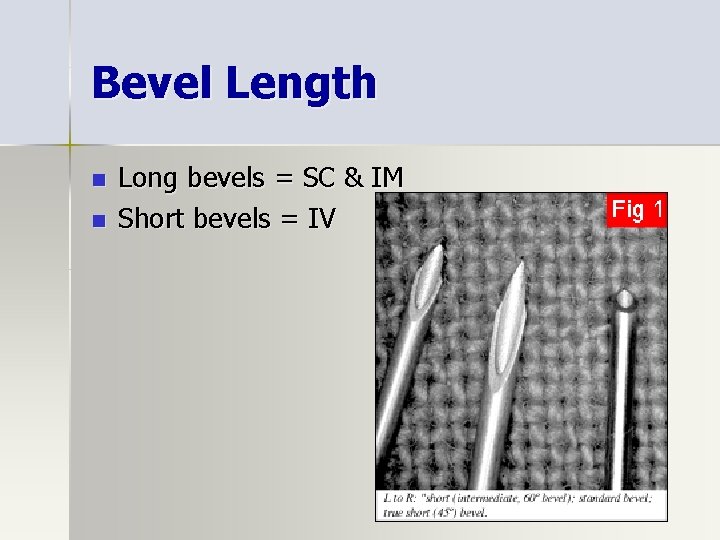 Bevel Length n n Long bevels = SC & IM Short bevels = IV