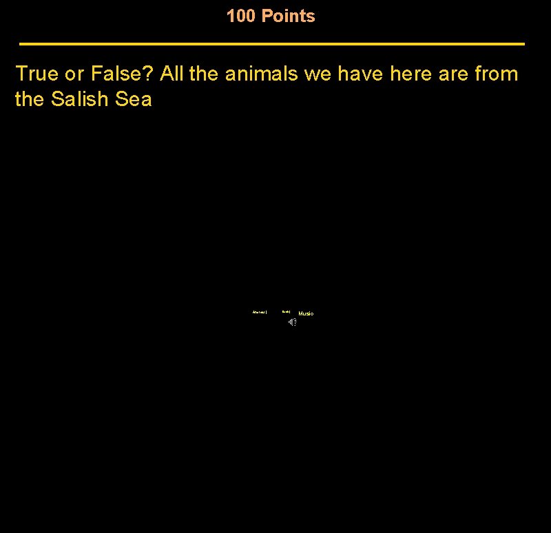 100 Points True or False? All the animals we have here are from the 100 Points True or False? All the animals we have here are from the
